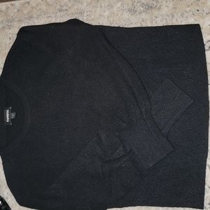 NWOT Express Sweater